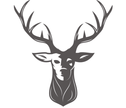 Schlatter Immobilien