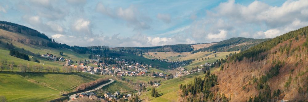 Lesen auf dem Berg: Preisgekrönte Autor:innen bei den Literaturtagen Todtnauberg