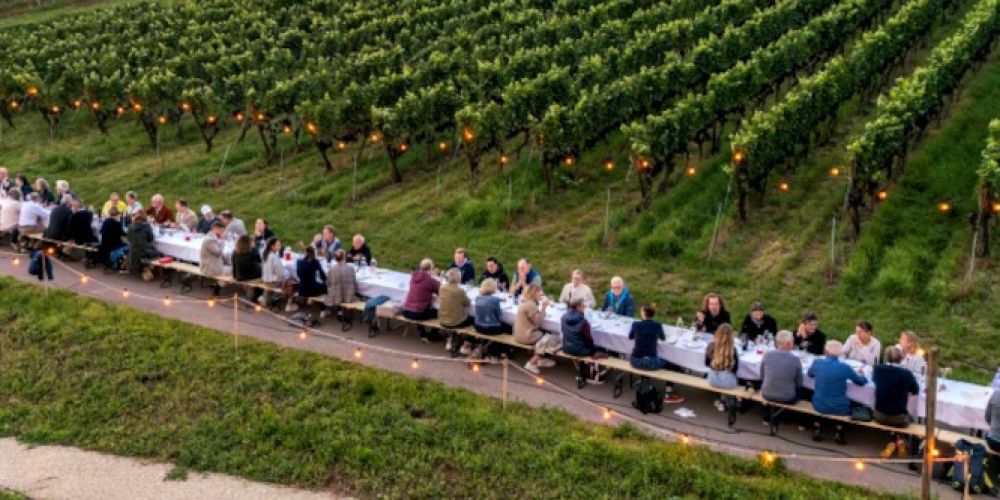 Schaffhauser Tavolata – Genuss am langen Tisch im Rebberg