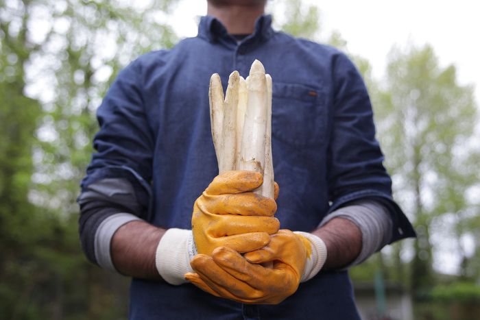 IG BAU Südbaden rät Saisonarbeitern zu Lohn-Check