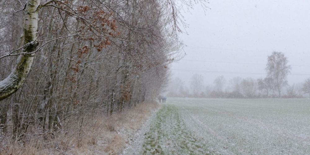 Frau Holle auf Stippvisite