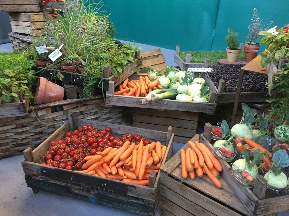 Praktische Tipps für Ernte und Lagerung