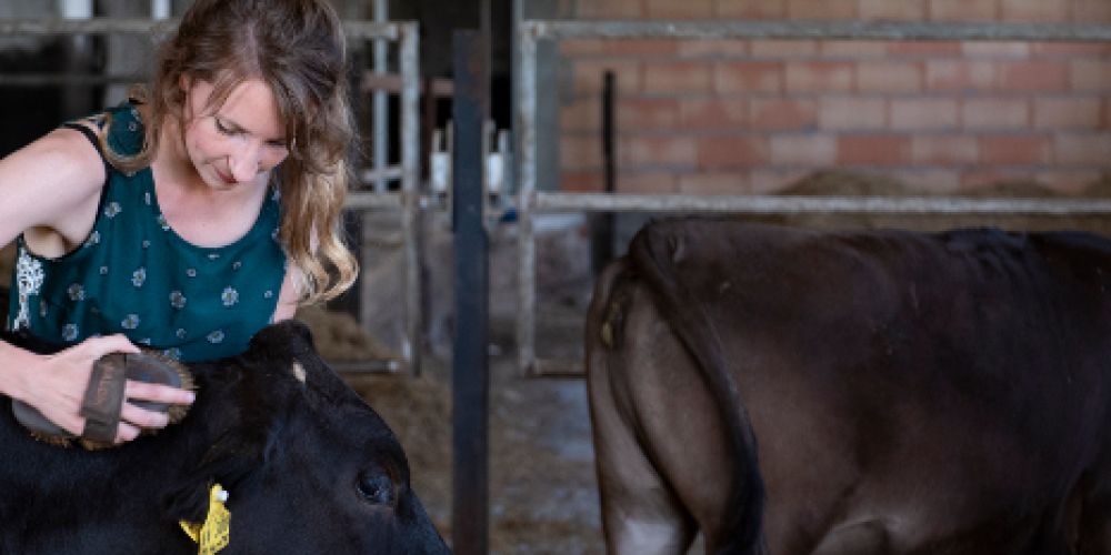 Frisch und edel aus dem Sauerland