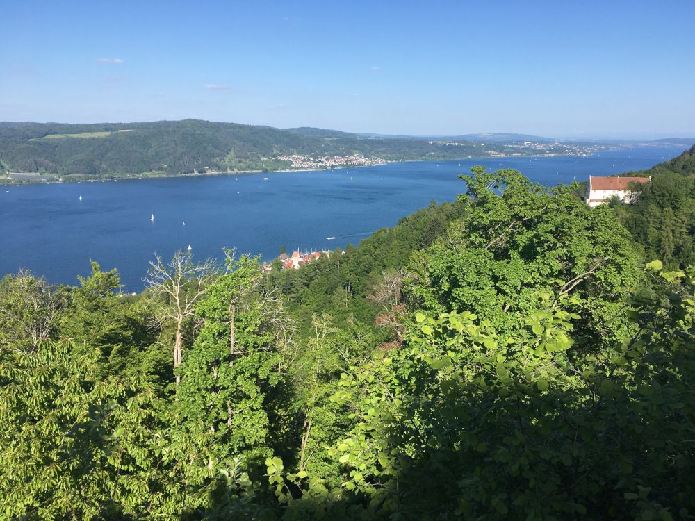 Kommunale Maßnahmen zum Seenschutz: Tagung beleuchtet neuesten Stand der Möglichkeiten