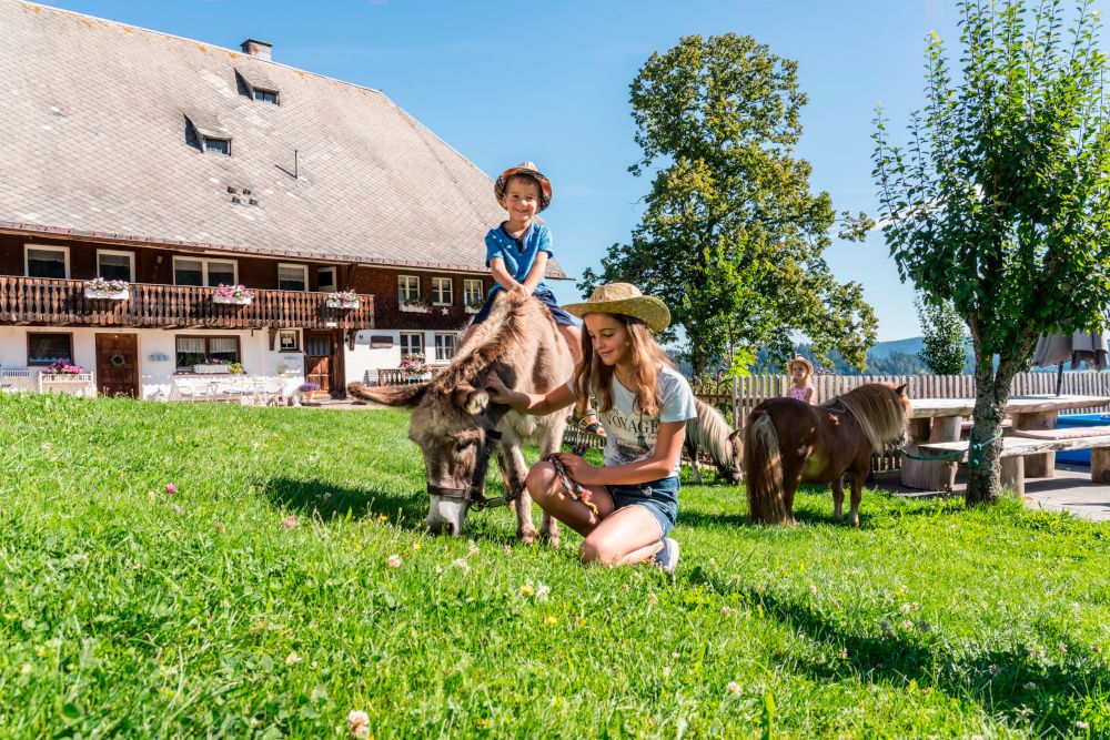 Mehr als 100 Veranstaltungen für Familien mit Kindern