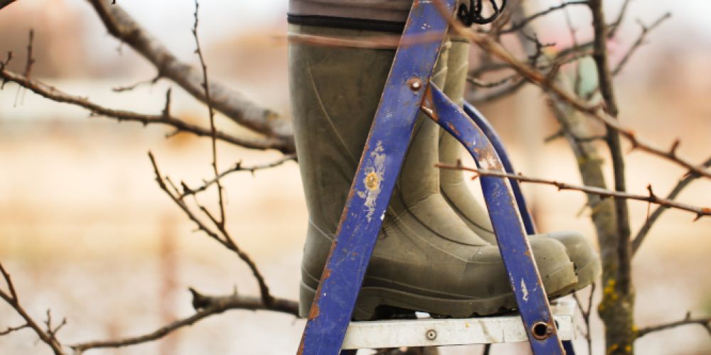 Frühsport für den grünen Daumen