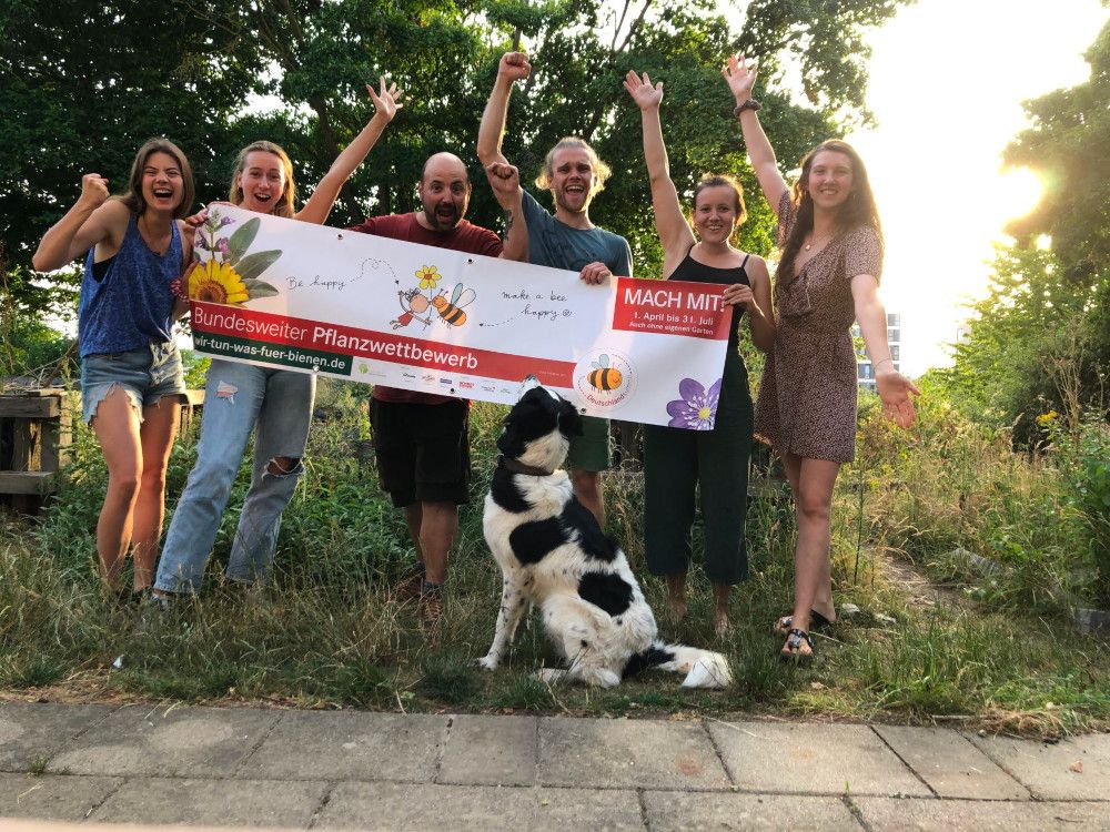 Wer gestaltet die attraktivsten Blühflächen für Insekten?