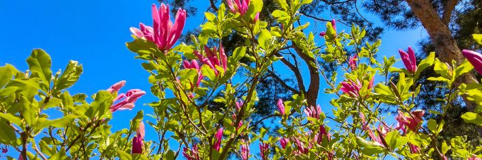 Luft so sauber wie lange nicht