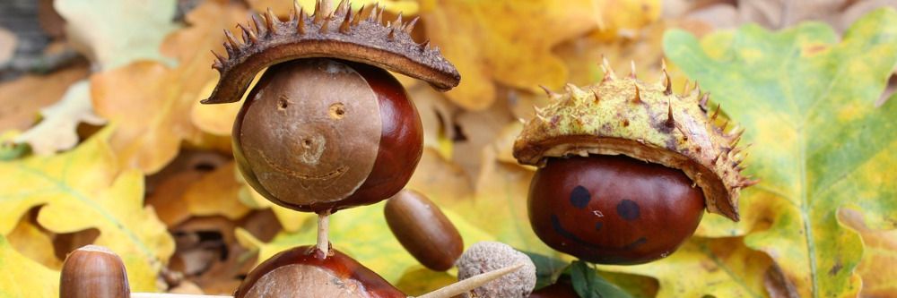 Basteln mit Kastanien – aber sicher