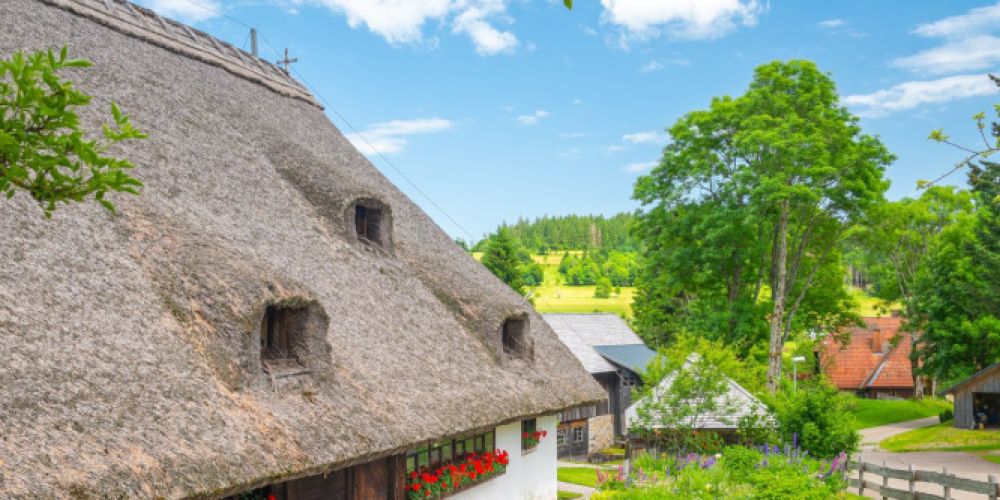 Termine Freilichtmuseum Klausenhof