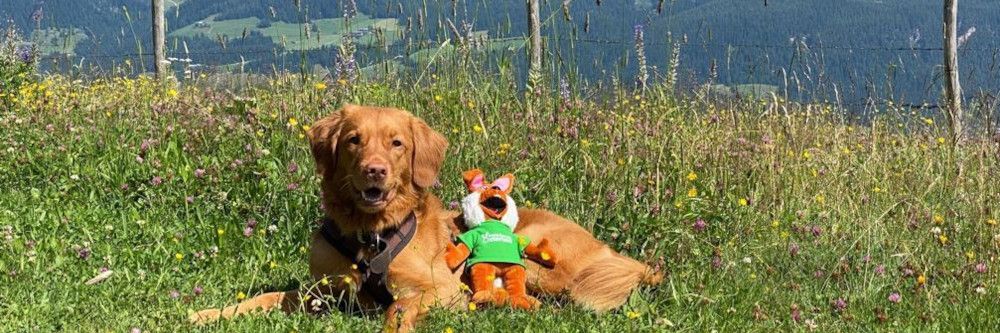 Paola reist 3.600 km durch Europa