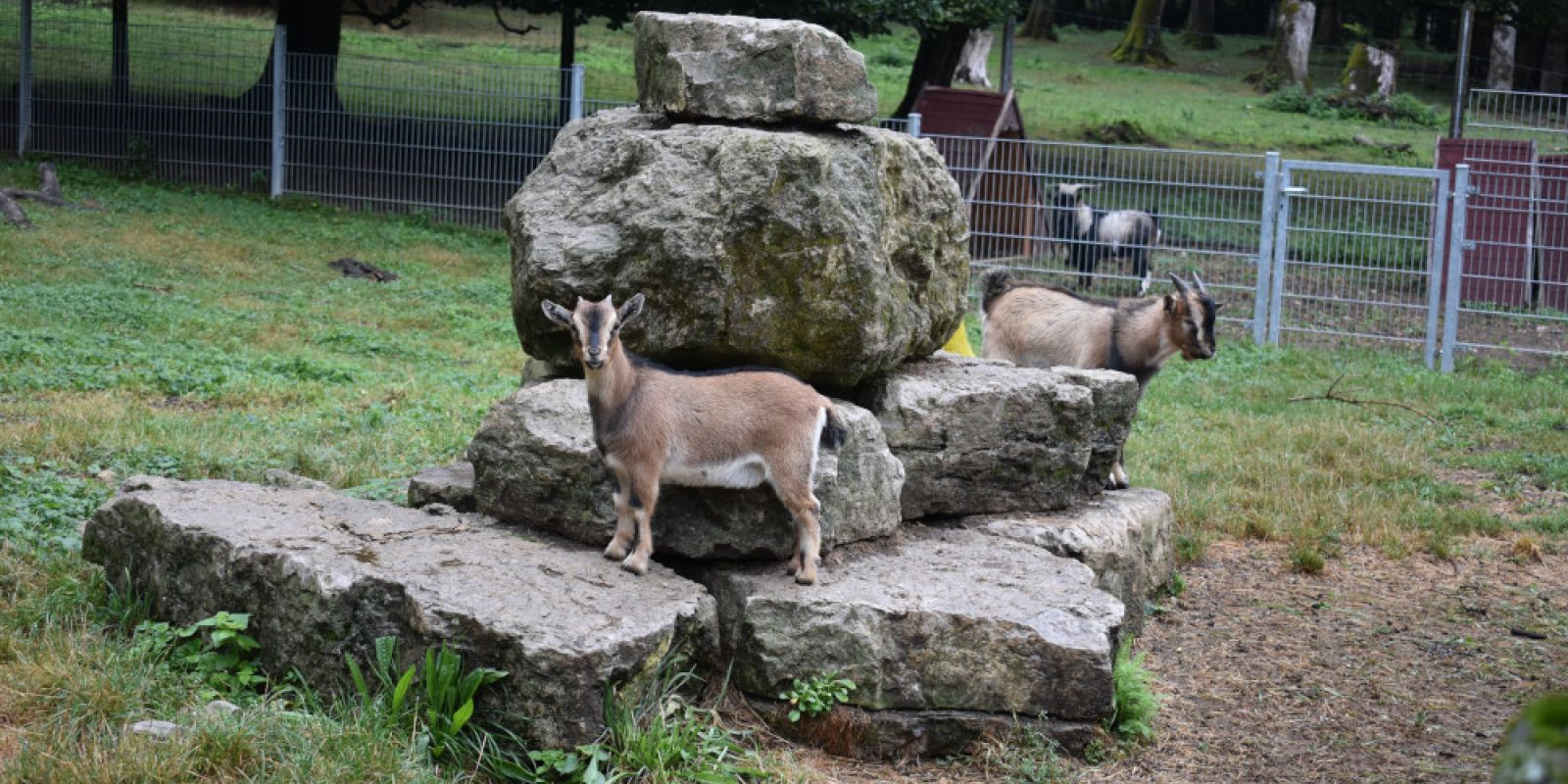 Wildgehege Waldshut