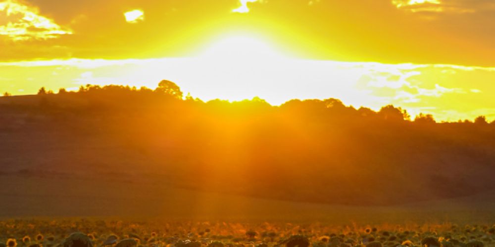 2022 warm wie selten - Klimawandel in Deutschland