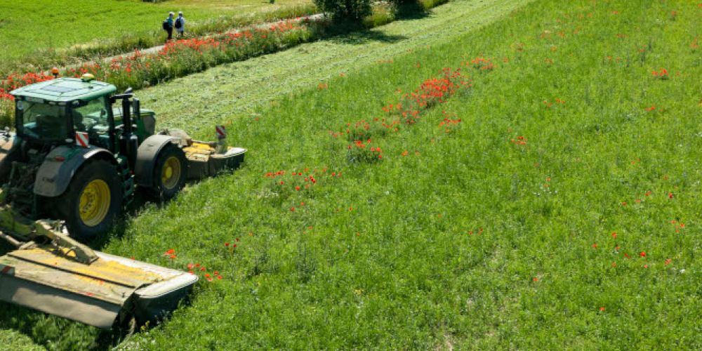 Vielfältiges Fachprogramm der Öko-Feldtage online