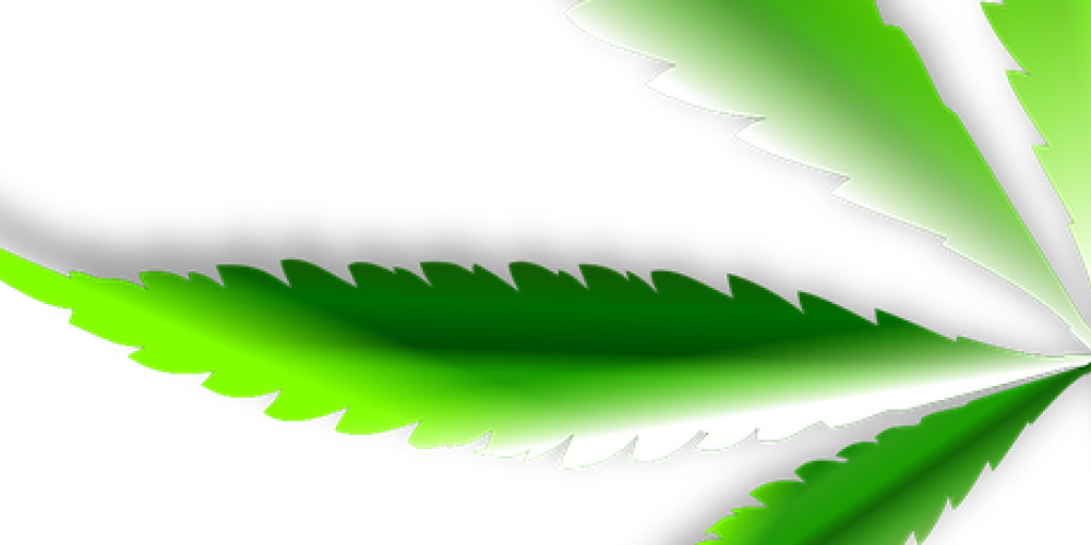 Cannabis-Umfrage: Jeder zweite Arzt für Legalisierung