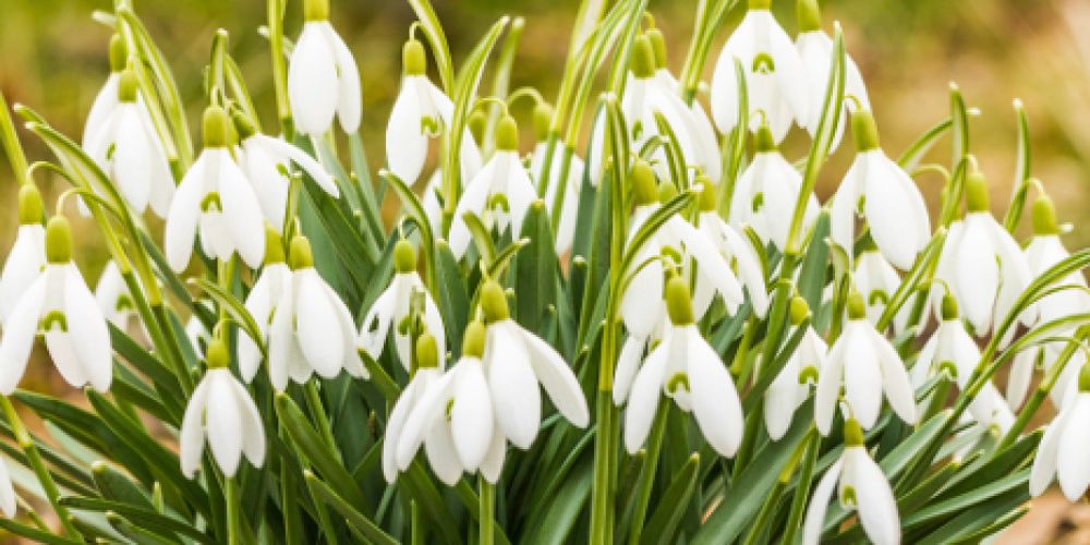 Klimawandel hat deutliche Folgen