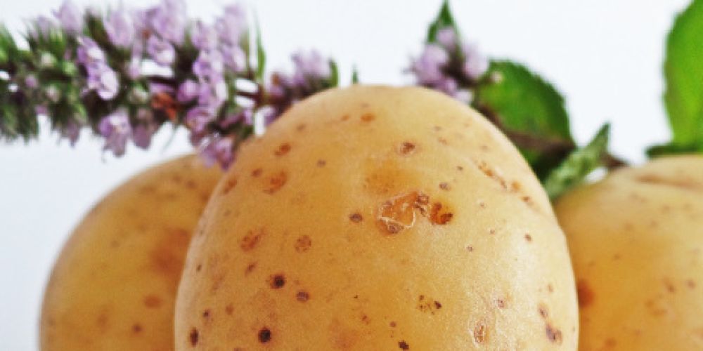 Zu Silvester: Kartoffel-Orakel fürs neue Jahr & Kartoffel-Cupcakes fürs Buffet