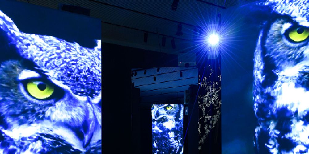 Gold für die Ausstellung »FinsterWald« beim Wettbewerb des Art Directors Club