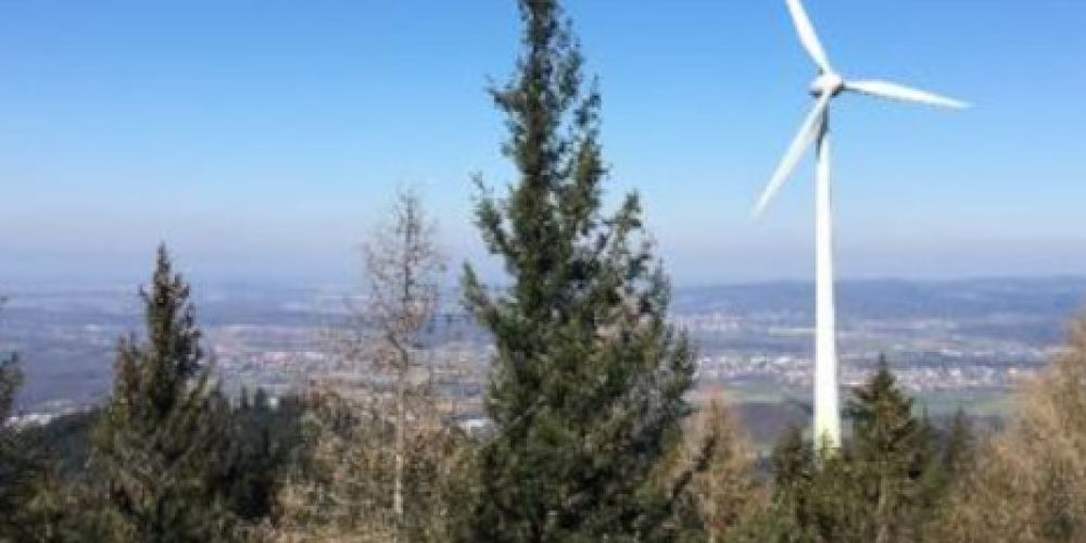 BWE: Windenergie im Land muss endlich durchstarten