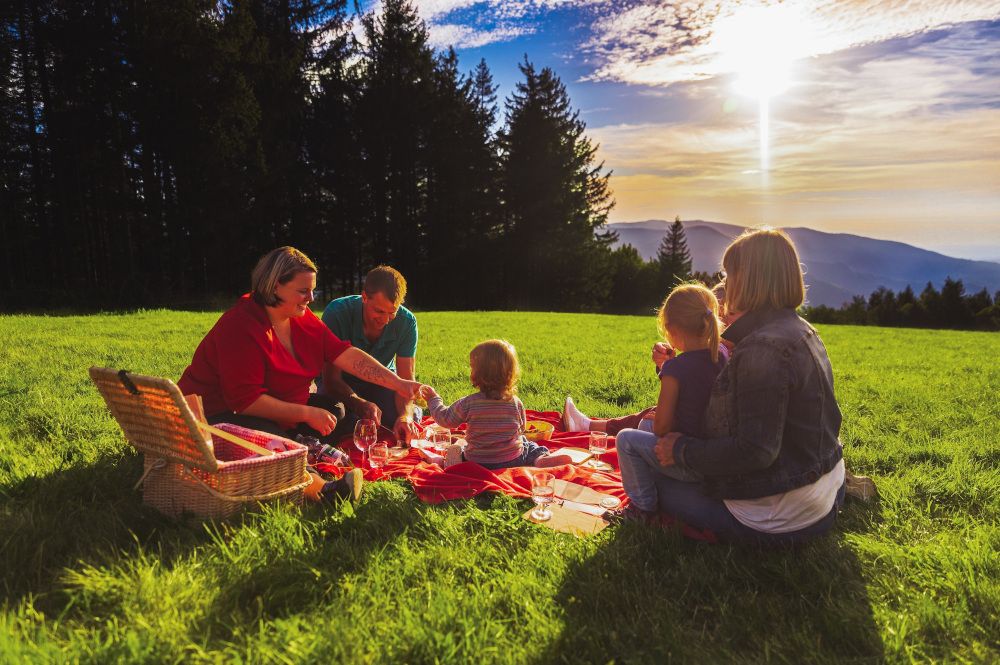 NEU: Hochschwarzwälder Picknick-Sommer 2021
