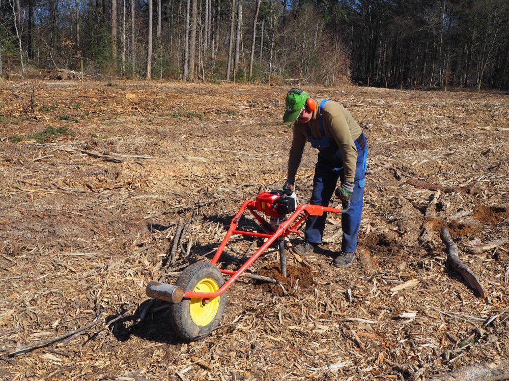 Gemeindewald Lottstetten erwirtschaftet ein leichtes Plus