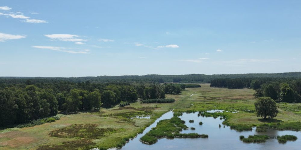 Zum Tag der Deutschen Einheit: DBU Naturerbe schließt Übertragungsprozess ab