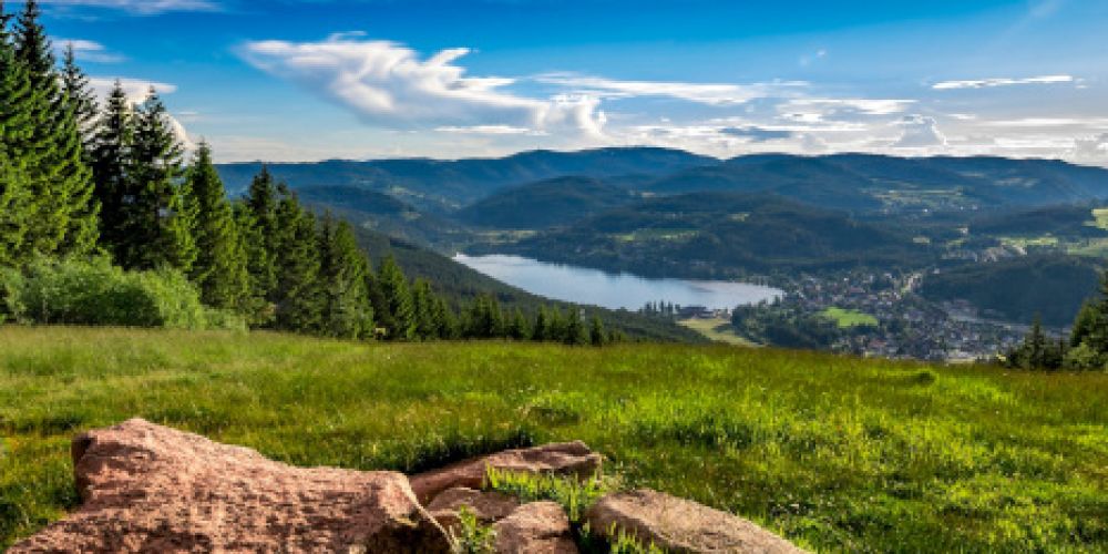„Friday for Tourism – leere Stühle im Hochschwarzwald”