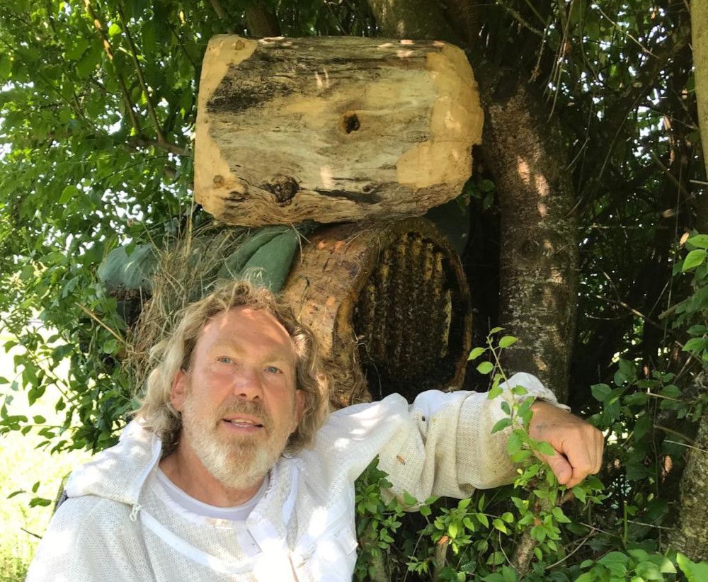 Imkerei in der Jungsteinzeit in den Pfahlbauten am Bodensee