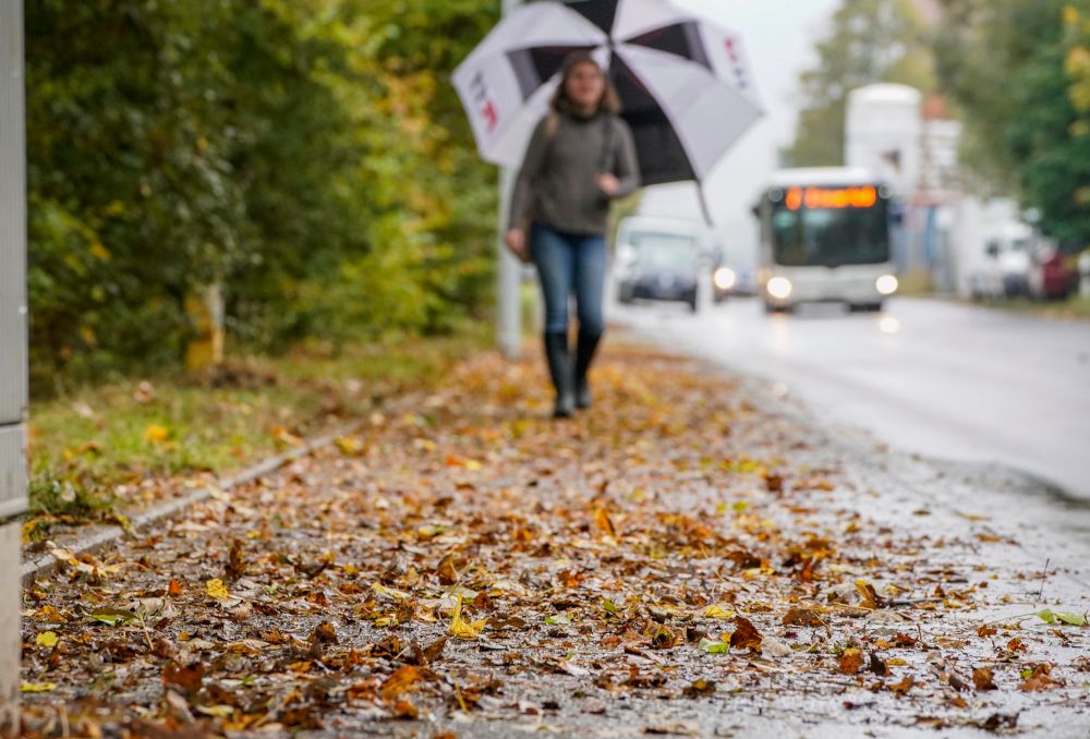 Wenn die Blätter fallen – wer muss fegen?