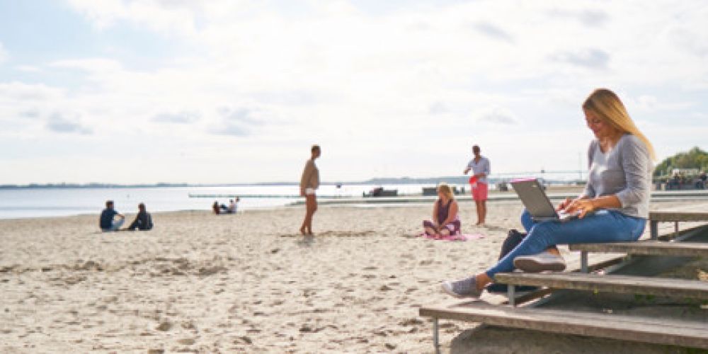 Harvard und Hochschule Stralsund ziehen bei neuem „Health-Master“ an einem Strang