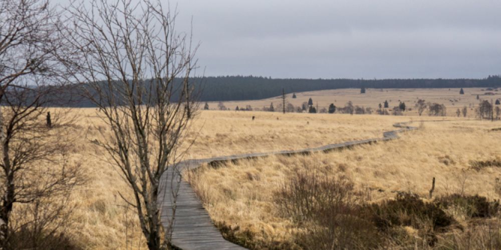 Wasserspeicher der Landschaft