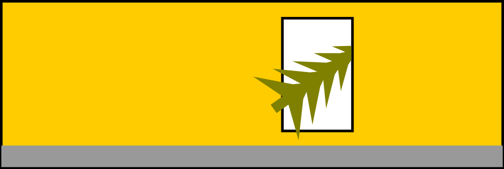 Christbaumsammlung 2025: Termine jetzt online verfügbar