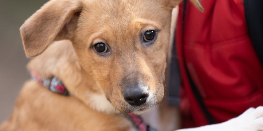 Am 15. März ist Weltverbrauchertag