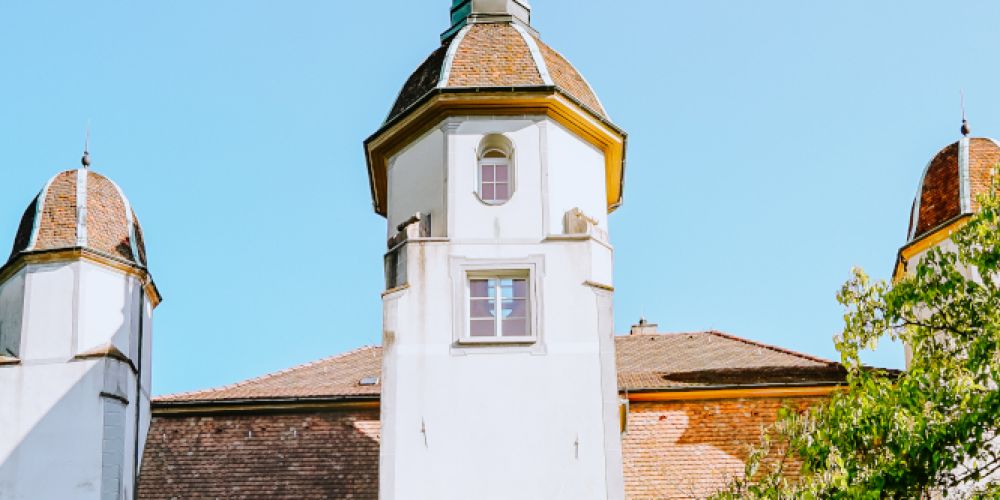 Hochrheinmuseum Schloss Schönau öffnet am internationlaen Museumstag