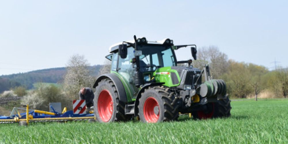 Phosphatversorgung im Ökolandbau langfristig sicherstellen