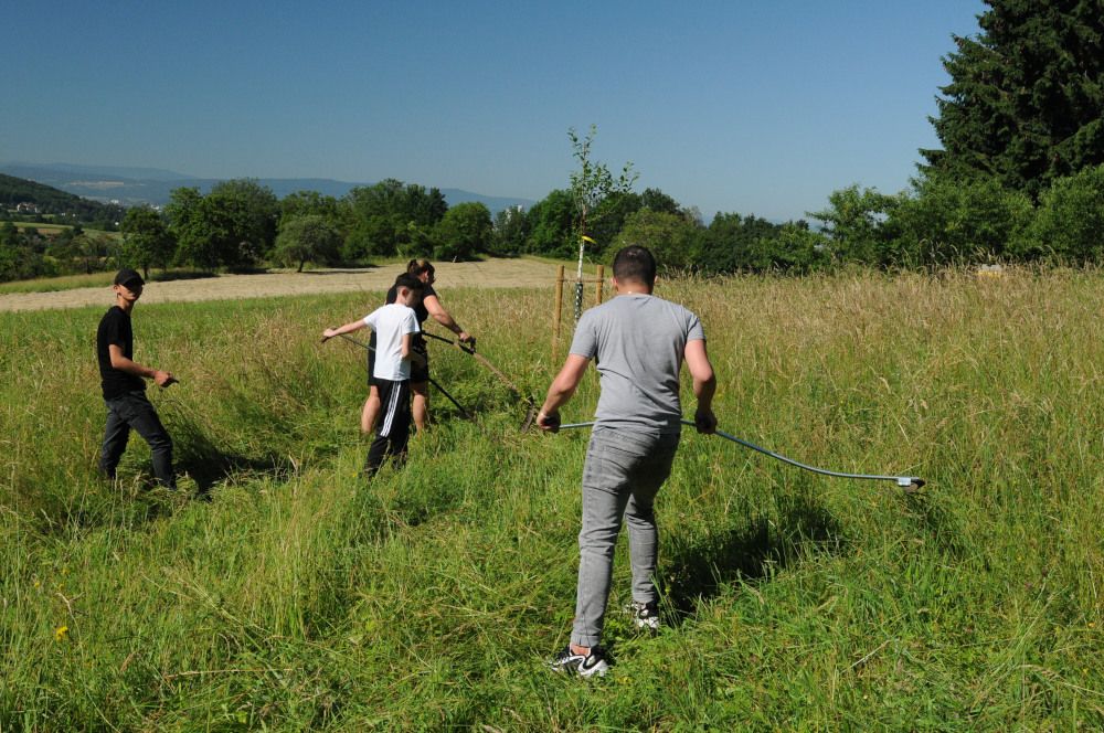 Naturschutzaktion der Kooperationsklassen aus Lörrach beim Naturheilverein