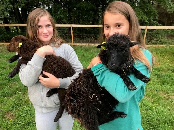 Neue tierische Gäste in Panarbora  - Streichelzoo wartet auf Jung und Alt