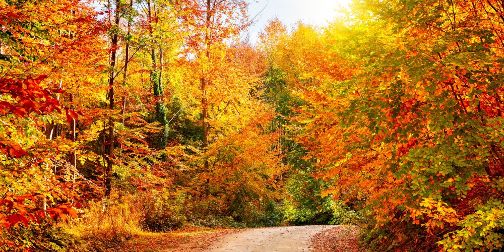 Das ist der „goldene Oktober“