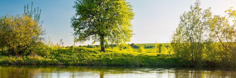 Aufwärtstrend zum Wochenende