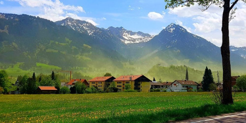 Woher kommt der ganze Blütenstaub?
