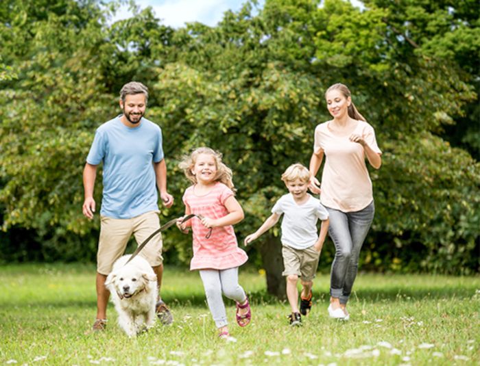 Tag des Hundes am 12. Juni 2022