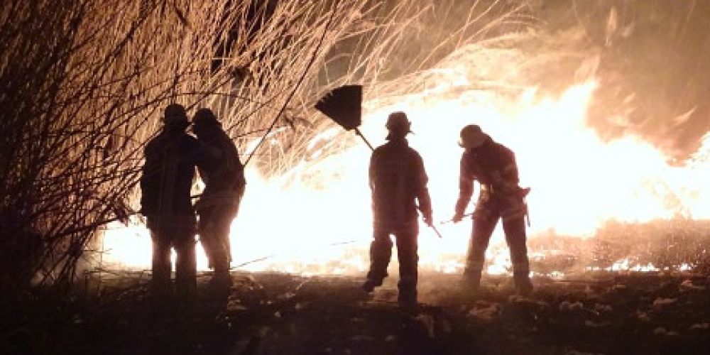 Erneuter Schilfbrand im Gewann Gießen