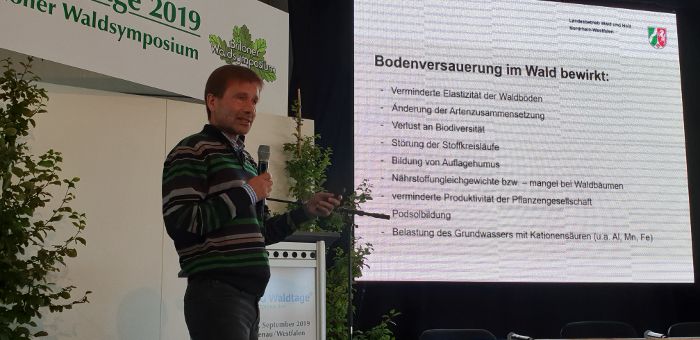 Bodenschutzkalkung - Bestandteil in Strategien für klimafitte Wälder
