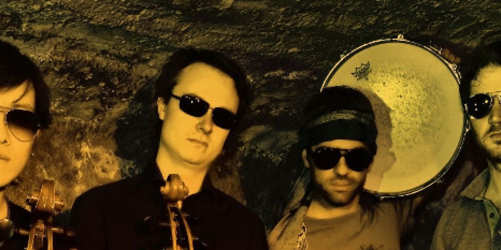 Folktreff Bonndorf bietet „Die andere Nacht der Saiteninstrumente“