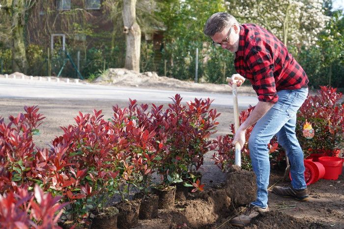 Eine neue Hecke – planen & pflanzen