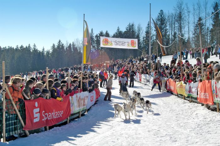 Internationales Schlittenhunderennen in Todtmoos