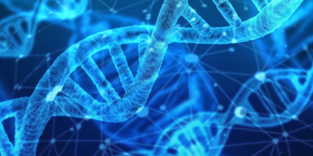 Deutsches Krebsforschungszentrum in der Helmholtz-Gemeinschaft