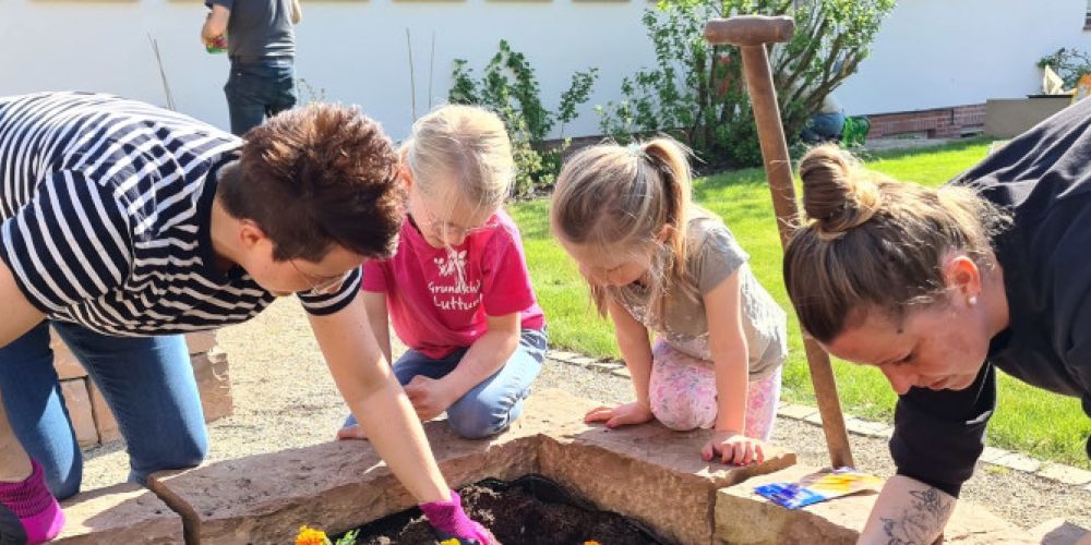 Jubelbild in Blühoase knipsen und bei Wettbewerb punkten