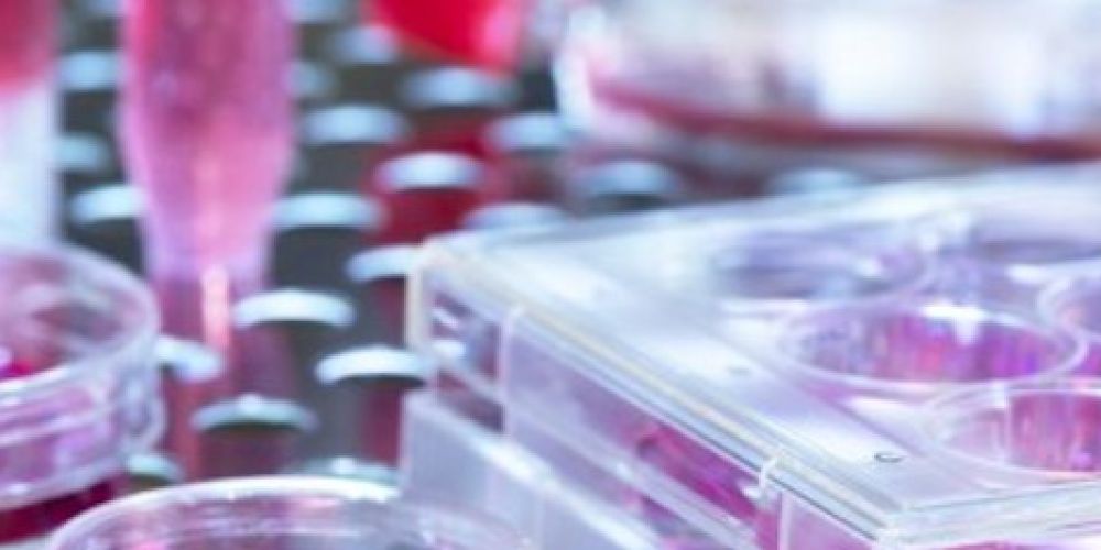 Regensburger Forscher: Neuer "Turbo" für die Corona-Impfstoffprüfung