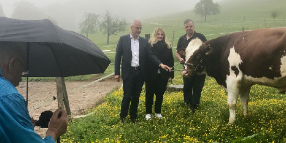 Munitaufe im Herzen von Basel